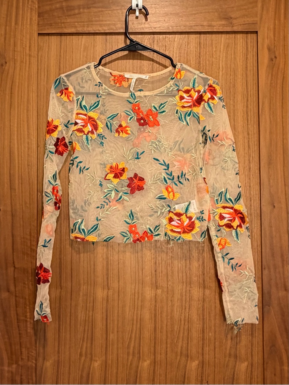 Urban Outfitters Beige Sheer Long-Sleeve Top with Red & Yellow Floral Embroidery